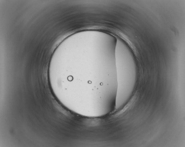 X0000113351417200910131230