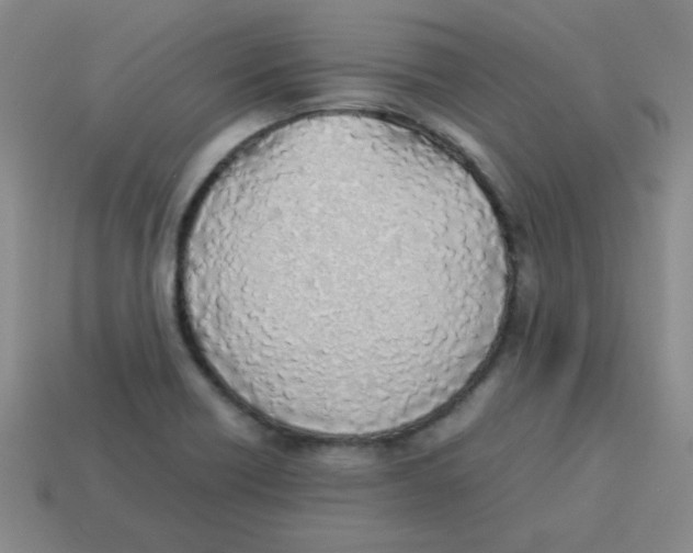 X0000113351418200910131230