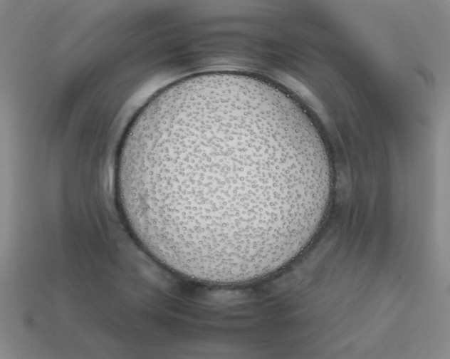 X0000113351419200910131230