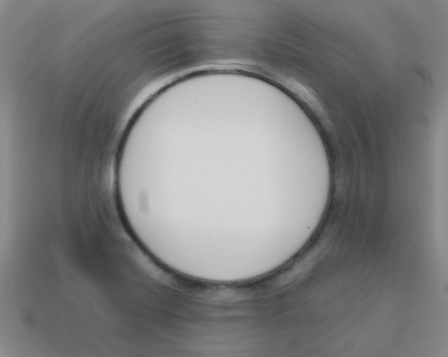 X0000113351420200910131230