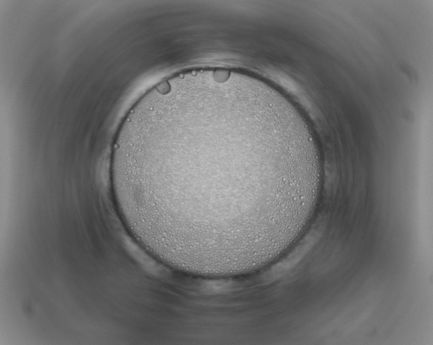 X0000113351421200910131230