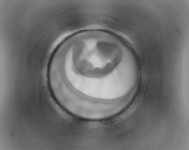 X0000113351422200910131230