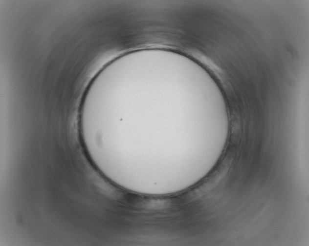 X0000113351423200910131230