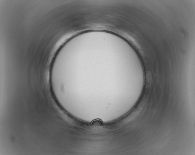 X0000113351424200910131230