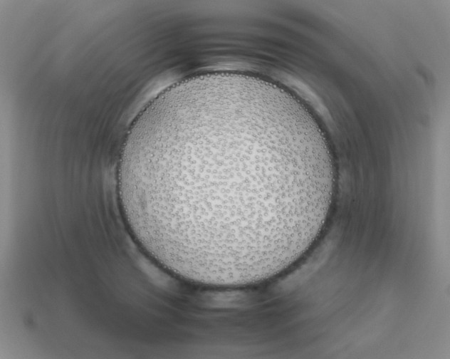 X0000113351425200910131230