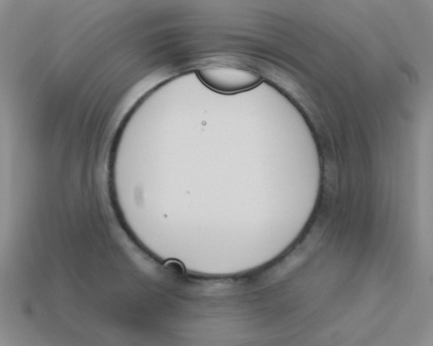 X0000113351426200910131230