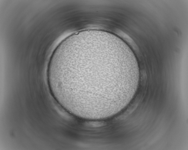 X0000113351427200910131230