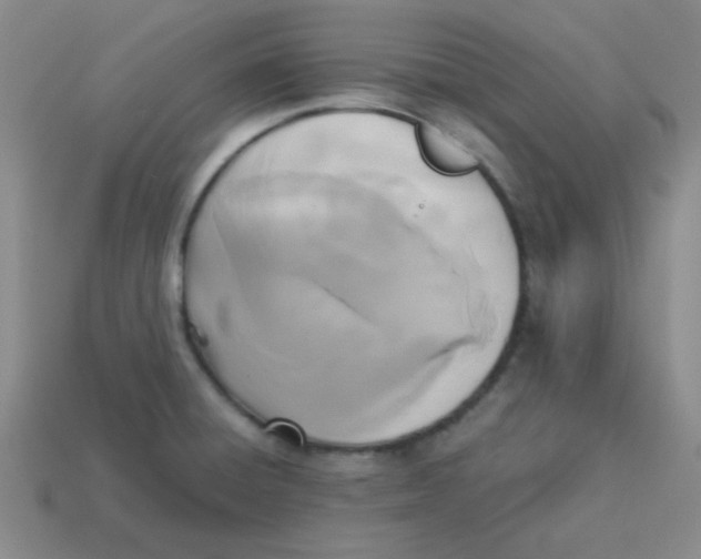 X0000113351428200910131230