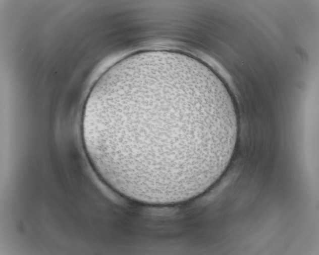 X0000113351429200910131230