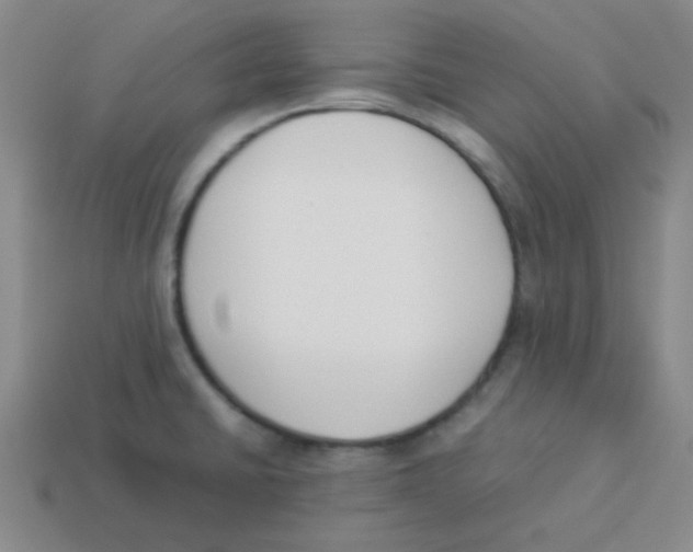 X0000113351430200910131230