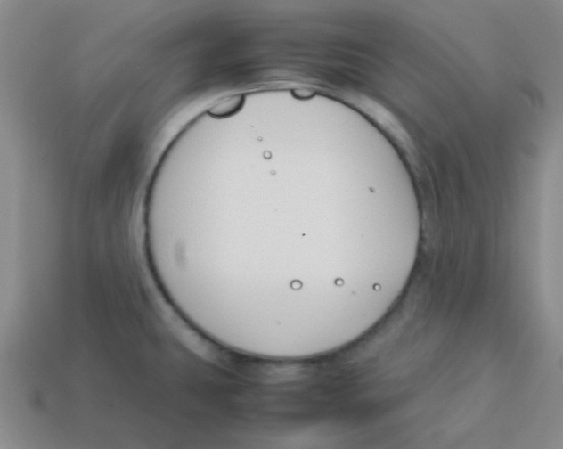 X0000113351431200910131230