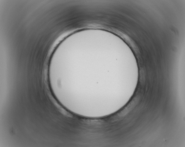 X0000113351432200910131230