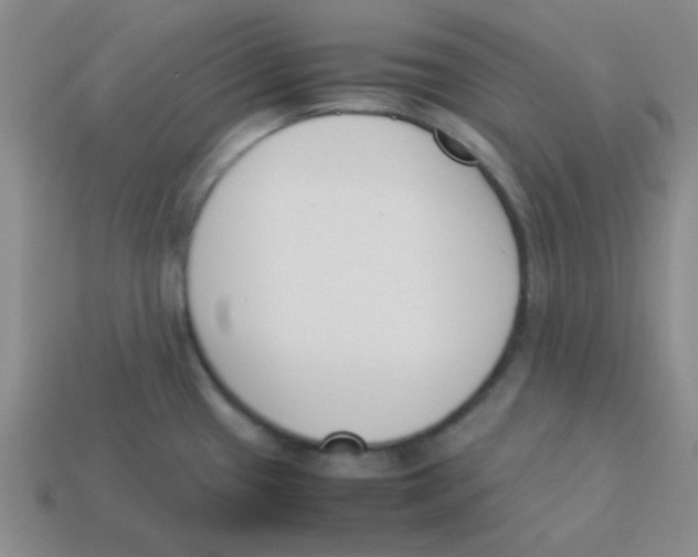 X0000113351433200910131230