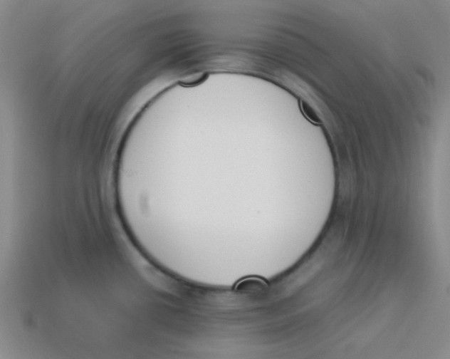 X0000113351434200910131230