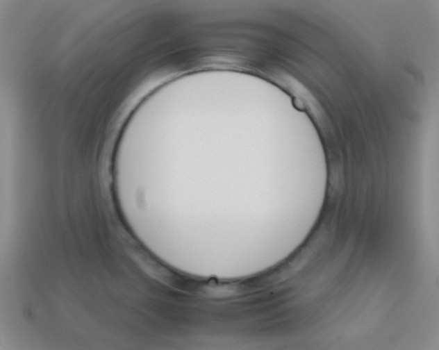 X0000113351435200910131230