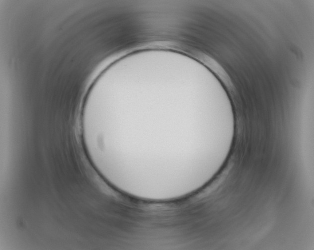 X0000113351436200910131230