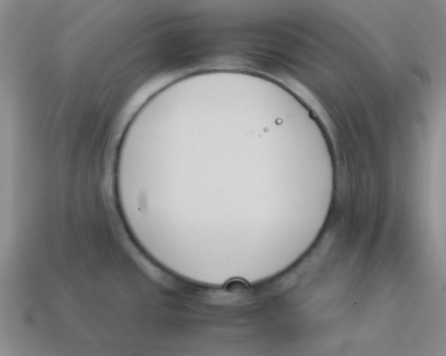 X0000113351437200910131230