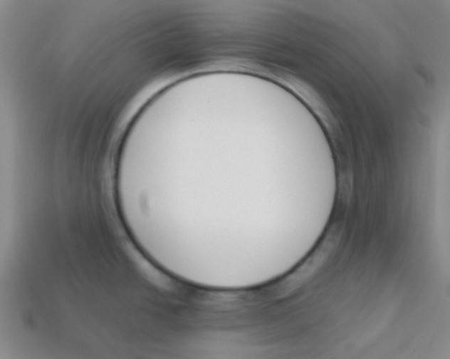 X0000113351438200910131230