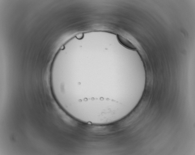 X0000113351439200910131230