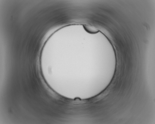 X0000113351440200910131230