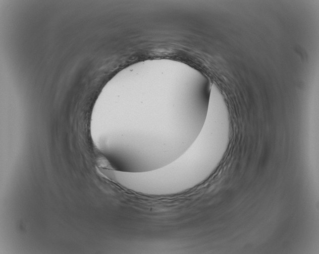 X0000113351441200910131230