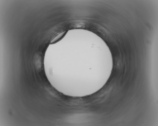 X0000113351442200910131230