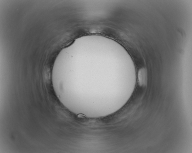 X0000113351443200910131230