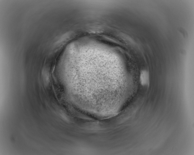 X0000113351444200910131230