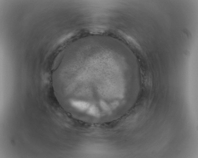 X0000113351445200910131230