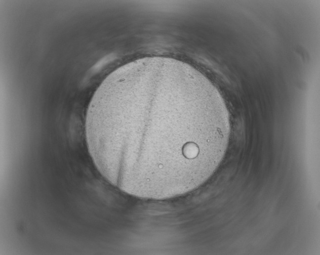 X0000113351446200910131230