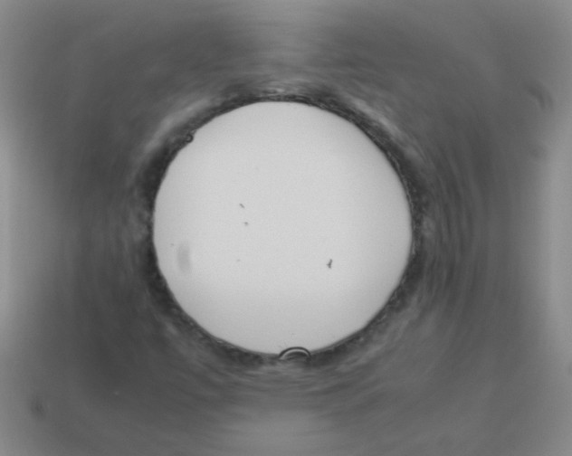 X0000113351447200910131230