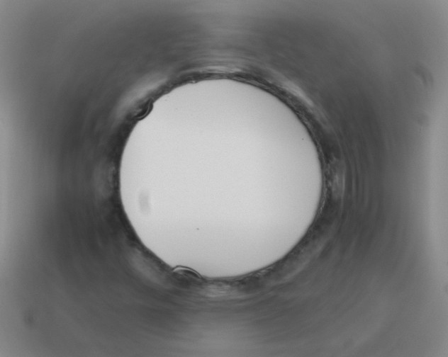 X0000113351448200910131230