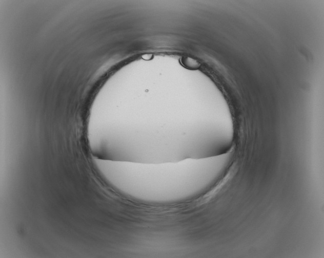 X0000113351449200910131230