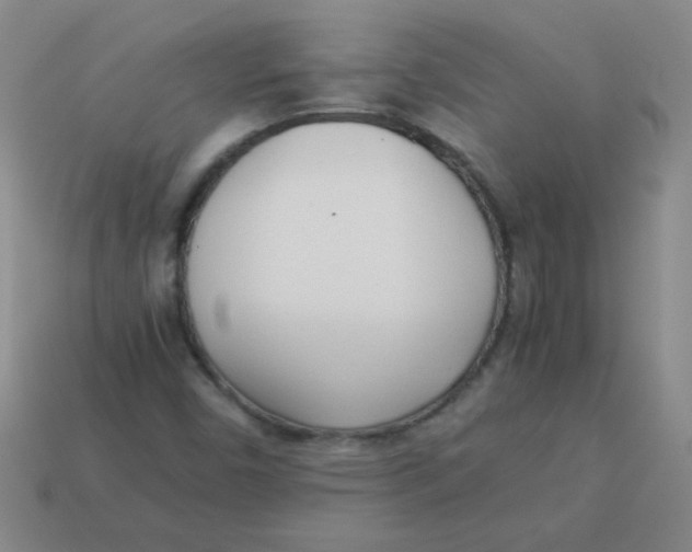 X0000113351450200910131230