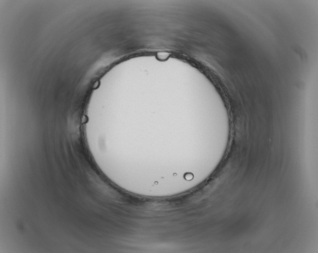 X0000113351451200910131230