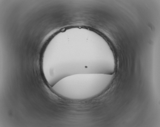 X0000113351452200910131230