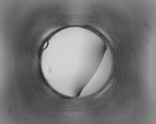 X0000113351453200910131230