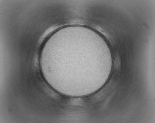 X0000113351454200910131230