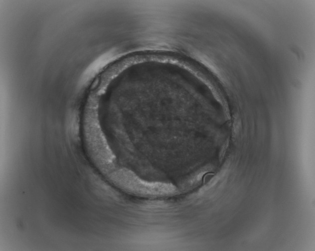 X0000113351455200910131230