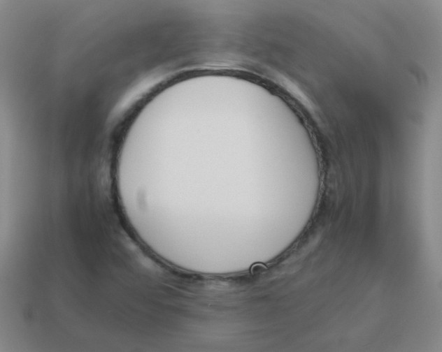 X0000113351456200910131230