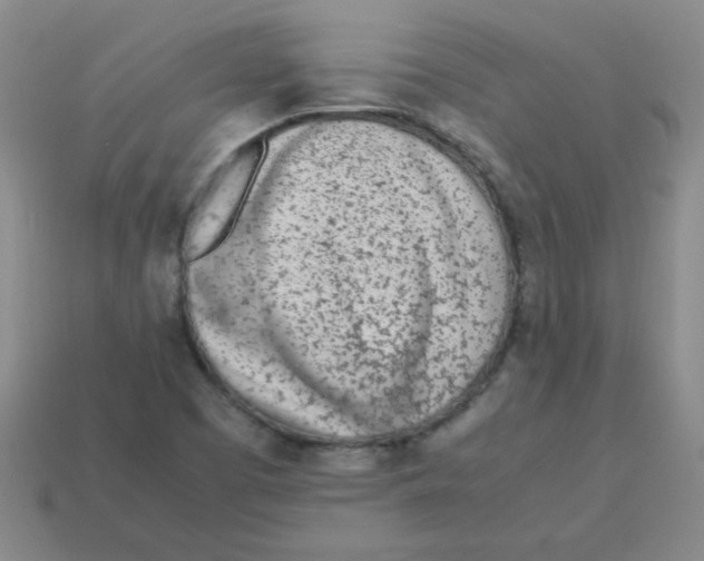 X0000113351457200910131229