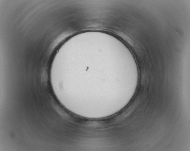 X0000113351458200910131229