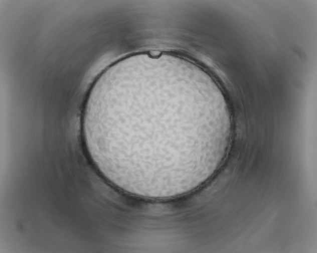 X0000113351459200910131229