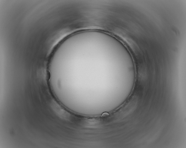 X0000113351460200910131229