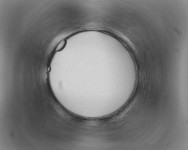 X0000113351461200910131229