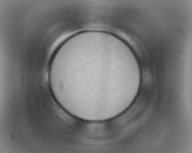 X0000113351462200910131229