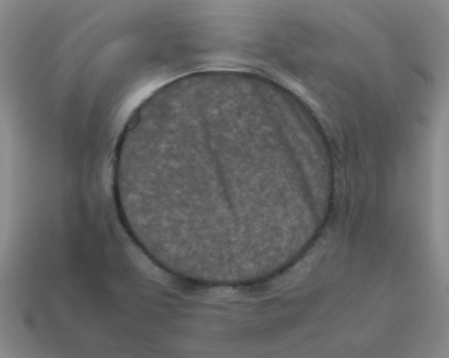 X0000113351463200910131229