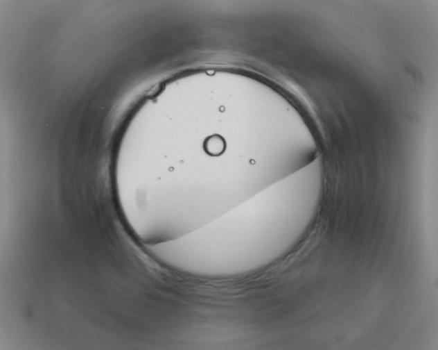 X0000113351464200910131229