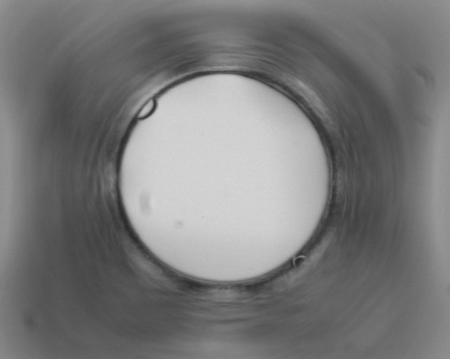 X0000113351465200910131229