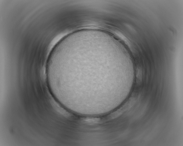 X0000113351466200910131229